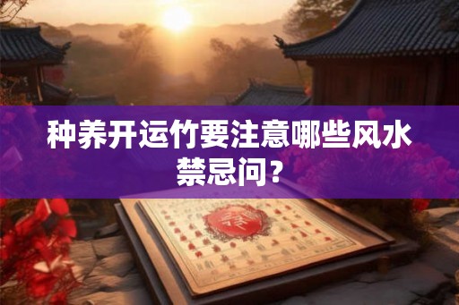 种养开运竹要注意哪些风水禁忌问？