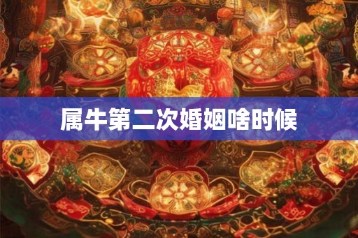 属牛第二次婚姻啥时候