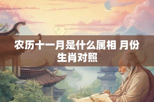 农历十一月是什么属相 月份生肖对照