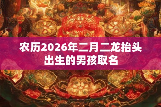 农历2026年二月二龙抬头出生的男孩取名