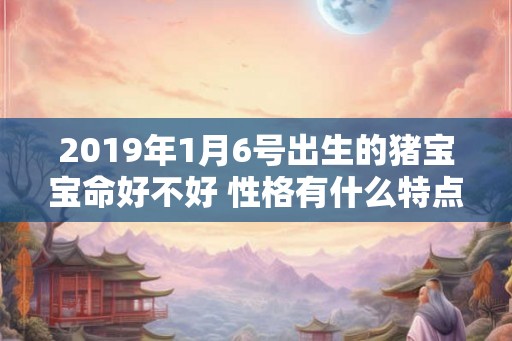 2019年1月6号出生的猪宝宝命好不好 性格有什么特点