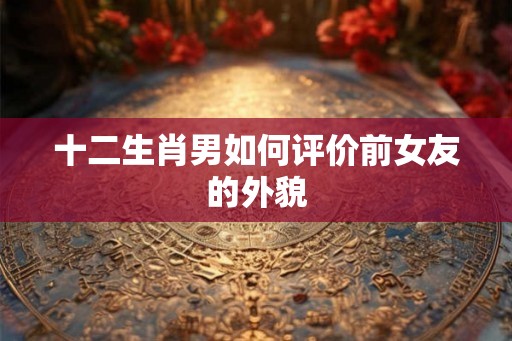 十二生肖男如何评价前女友的外貌