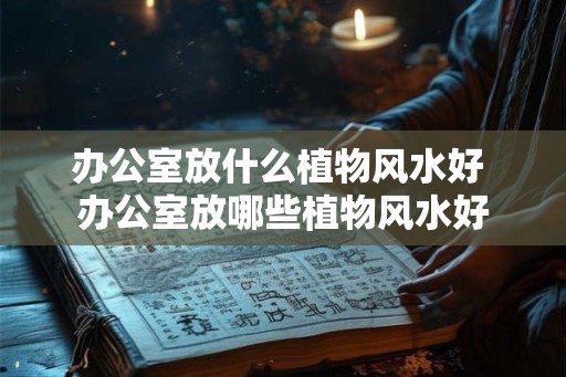 办公室放什么植物风水好 办公室放哪些植物风水好