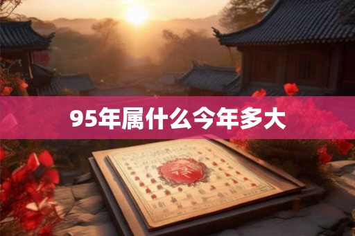 95年属什么今年多大 95年属什么今年多大