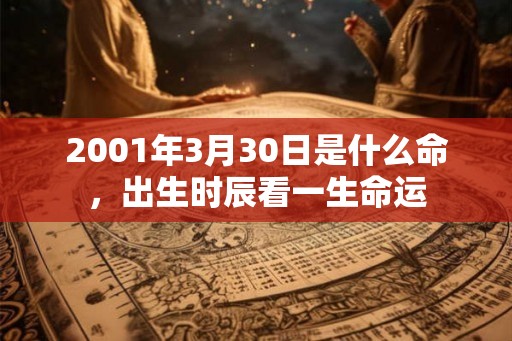 2001年3月30日是什么命,出生时辰看一生命运 2001年3月30日是什么命,出生时辰看一生命运