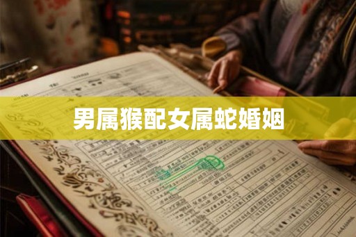 男属猴配女属蛇婚姻 男属猴配女属蛇婚姻