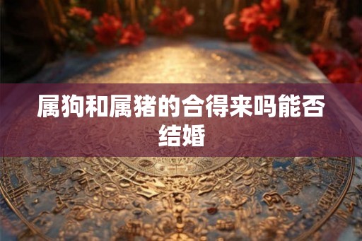 属狗和属猪的合得来吗能否结婚