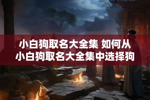 小白狗取名大全集 如何从小白狗取名大全集中选择狗名