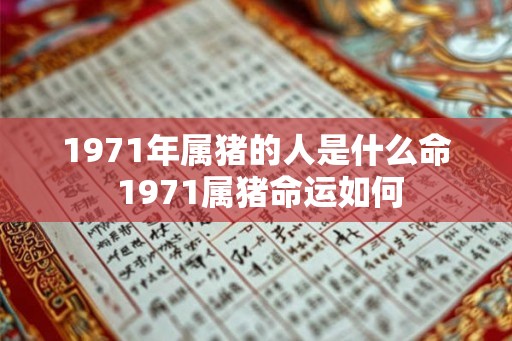 1971年属猪的人是什么命 1971属猪命运如何