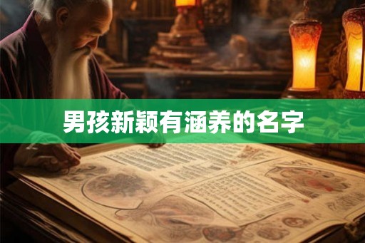 男孩新颖有涵养的名字