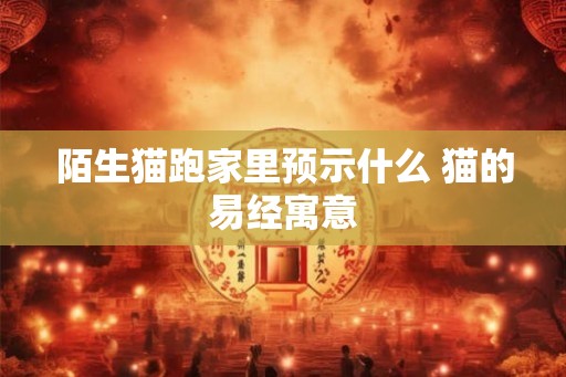 陌生猫跑家里预示什么 猫的易经寓意 陌生猫跑家里预示什么 猫的易经寓意