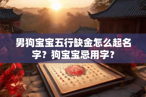 男狗宝宝五行缺金怎么起名字？狗宝宝忌用字？
