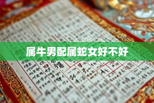 属牛男配属蛇女好不好