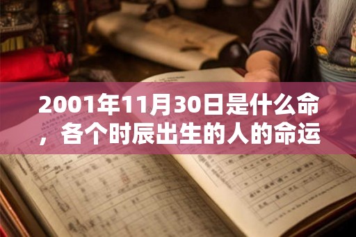 2001年11月30日是什么命，各个时辰出生的人的命运