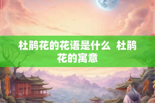 杜鹃花的花语是什么  杜鹃花的寓意