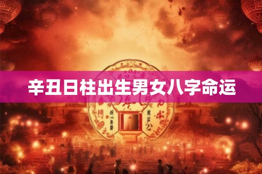 辛丑日柱出生男女八字命运