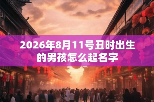 2026年8月11号丑时出生的男孩怎么起名字