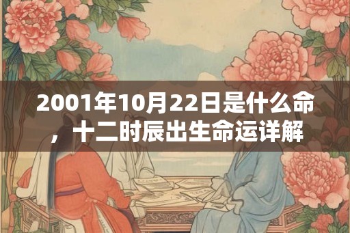 2001年10月22日是什么命，十二时辰出生命运详解