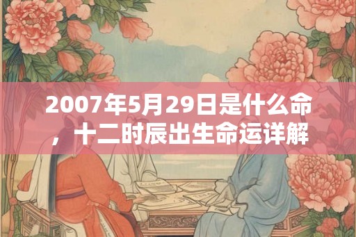 2007年5月29日是什么命，十二时辰出生命运详解