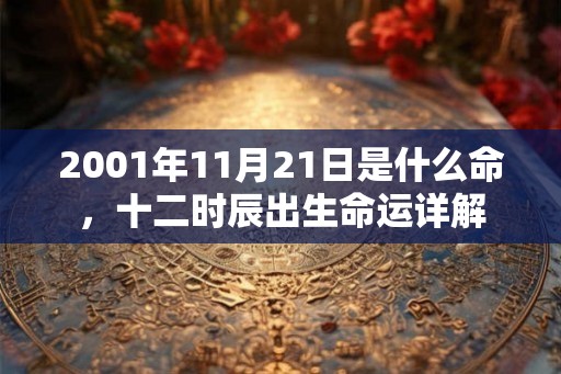 2001年11月21日是什么命,十二时辰出生命运详解 2001年11月21日是什么命,十二时辰出生命运详解