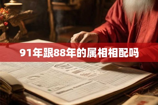 91年跟88年的属相相配吗