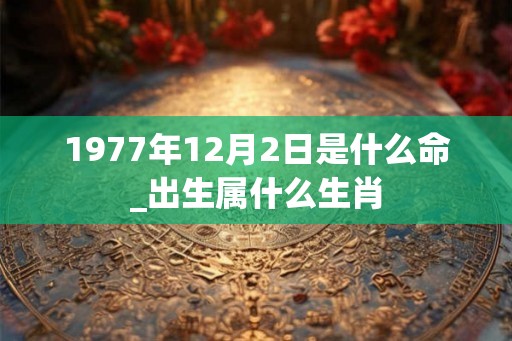 1977年12月2日是什么命_出生属什么生肖