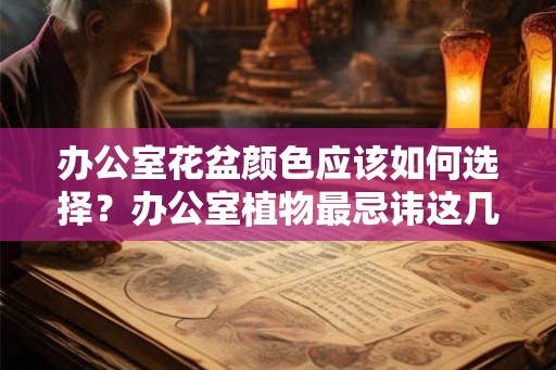 办公室花盆颜色应该如何选择？办公室植物最忌讳这几点？