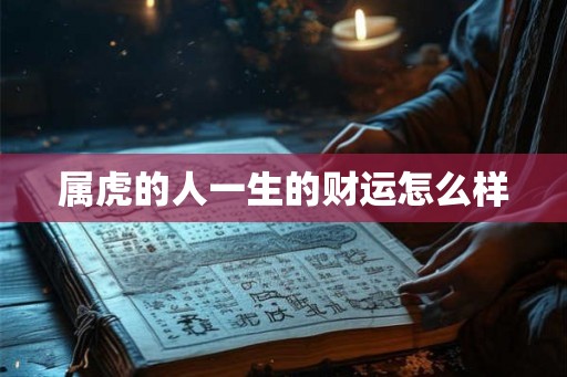 属虎的人一生的财运怎么样