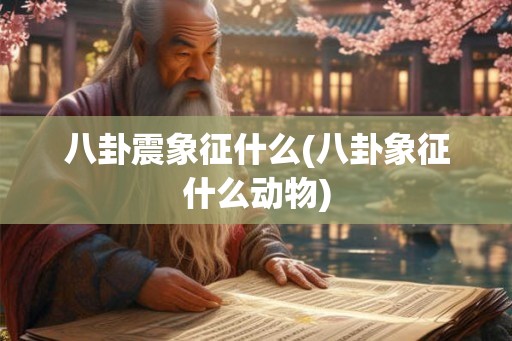 八卦震象征什么(八卦象征什么动物)