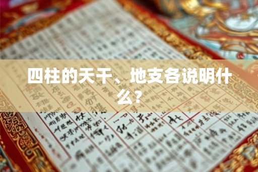 四柱的天干、地支各说明什么？