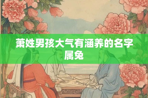 萧姓男孩大气有涵养的名字属兔 萧姓男孩大气有涵养的名字属兔