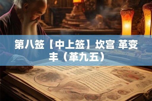 第八签【中上签】坎宫 革变丰（革九五）