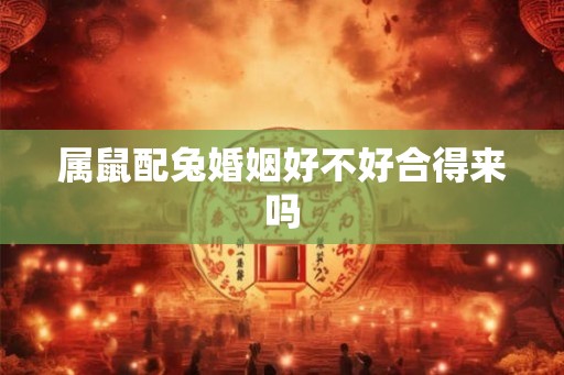 属鼠配兔婚姻好不好合得来吗