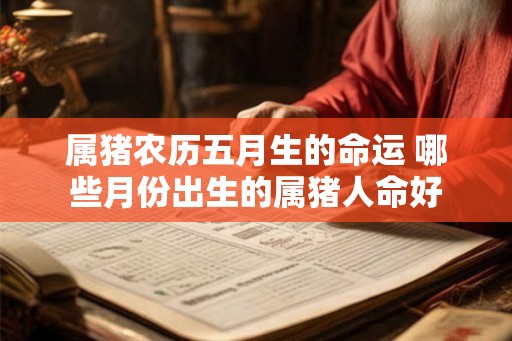 属猪农历五月生的命运 哪些月份出生的属猪人命好