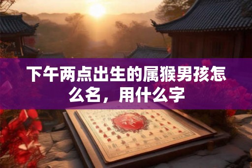 下午两点出生的属猴男孩怎么名,用什么字 下午两点出生的属猴男孩怎么名,用什么字