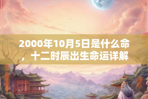 2000年10月5日是什么命,十二时辰出生命运详解 2000年10月5日是什么命,十二时辰出生命运详解