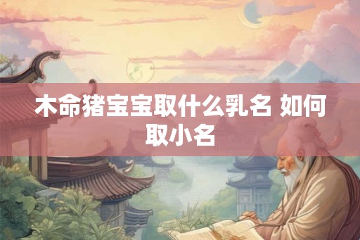 木命猪宝宝取什么乳名 如何取小名 木命猪宝宝取什么乳名 如何取小名