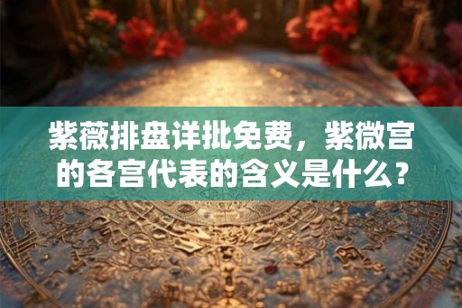 紫薇排盘详批免费，紫微宫的各宫代表的含义是什么？