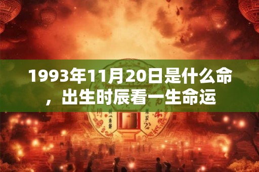 1993年11月20日是什么命，出生时辰看一生命运