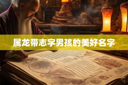 属龙带志字男孩的美好名字