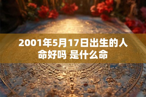 2001年5月17日出生的人命好吗 是什么命