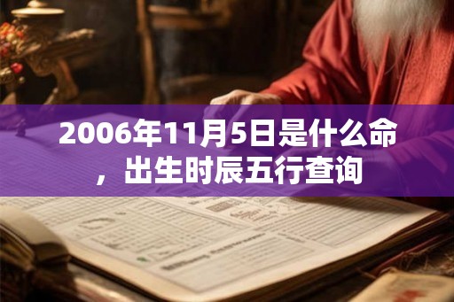 2006年11月5日是什么命，出生时辰五行查询