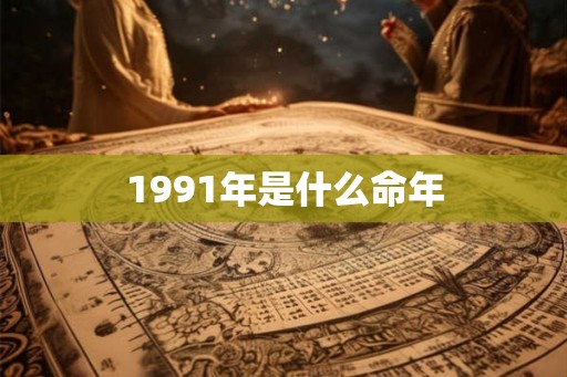 1991年是什么命年