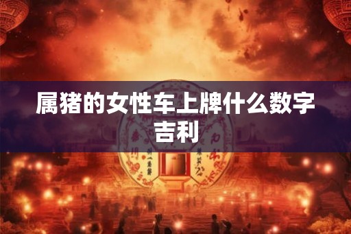 属猪的女性车上牌什么数字吉利 属猪的女性车上牌什么数字吉利