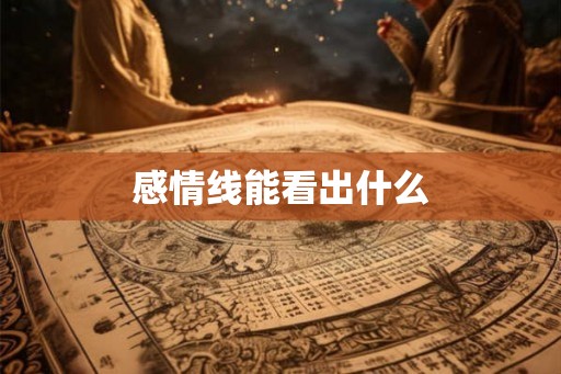 感情线能看出什么