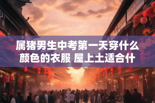 属猪男生中考第一天穿什么颜色的衣服 屋上土适合什么颜色