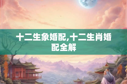 十二生象婚配,十二生肖婚配全解