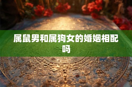 属鼠男和属狗女的婚姻相配吗