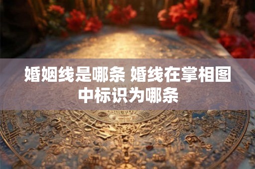 婚姻线是哪条 婚线在掌相图中标识为哪条