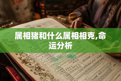 属相猪和什么属相相克,命运分析